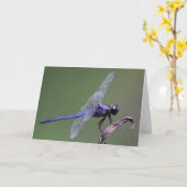 Dragonfly, carte (Fleur jaune)