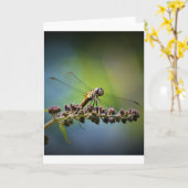 Dragonfly, carte (Fleur jaune)