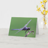 Dragonfly, carte (Fleur jaune)