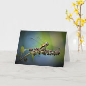 Dragonfly, carte (Fleur jaune)