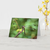 Dragonfly, carte (Fleur jaune)
