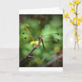 Dragonfly, carte (Fleur jaune)