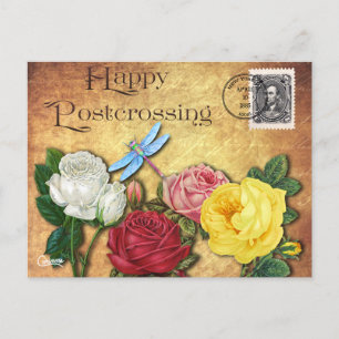 Dragonfly - Carte postale