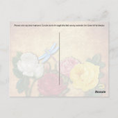 Dragonfly - Carte postale (Dos)