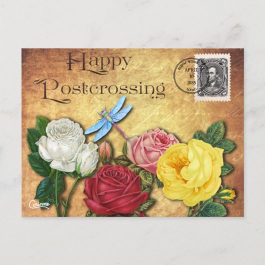 Dragonfly - Carte postale (Devant)