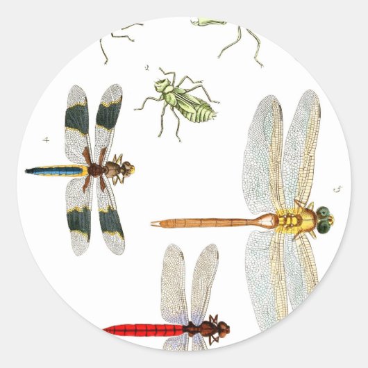 dragonfly-clip-art-4 ronde sticker (Voorkant)