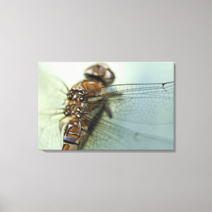 Dragonfly close-up canvas afdruk