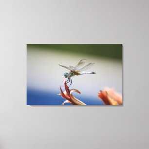 Dragonfly close-up foto muurkunst canvas afdruk