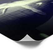 Dragonfly Co Pilot Black and White Poster (Hoek)