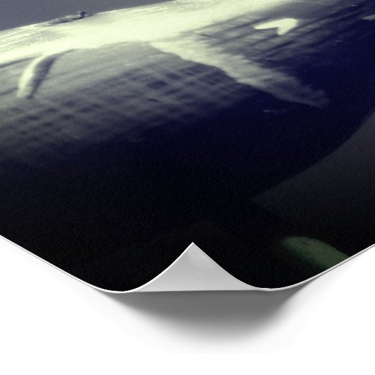 Dragonfly Co Pilot Black and White Poster (Hoek)