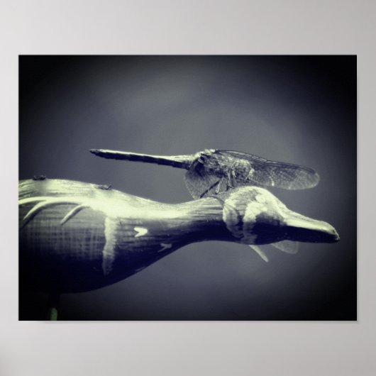 Dragonfly Co Pilot Black and White Poster (Voorkant)