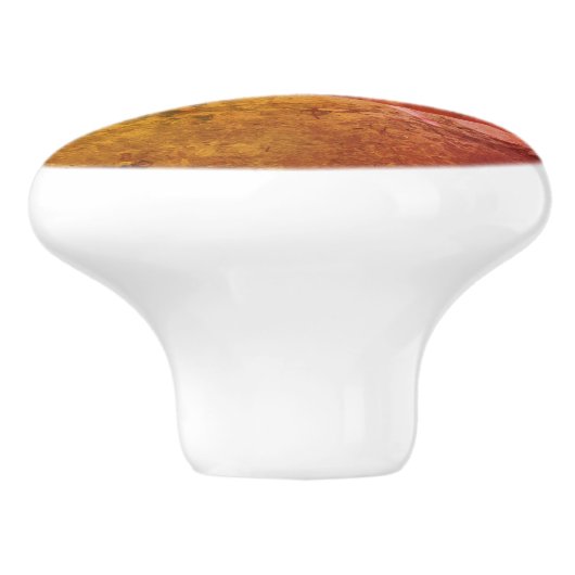 Dragonfly Co Pilot Insect Abstract Grunge Keramische Knop (Zijkant)