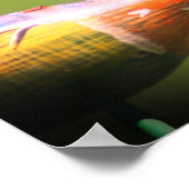 Dragonfly Co Pilot Insect Poster (Hoek)