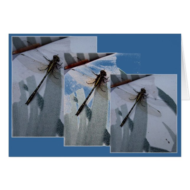 Dragonfly Collage (Voorkant Horizontaal)