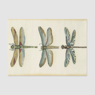 Dragonfly-Collectie door Chariklia Zarris Tissuepapier