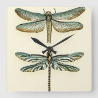 Dragonfly-Collectie door Chariklia Zarris