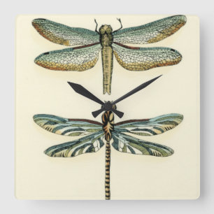 Dragonfly-Collectie door Chariklia Zarris Vierkante Klok