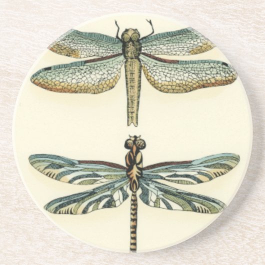 Dragonfly-Collectie door Chariklia Zarris Zandsteen Onderzetter (Voorkant)