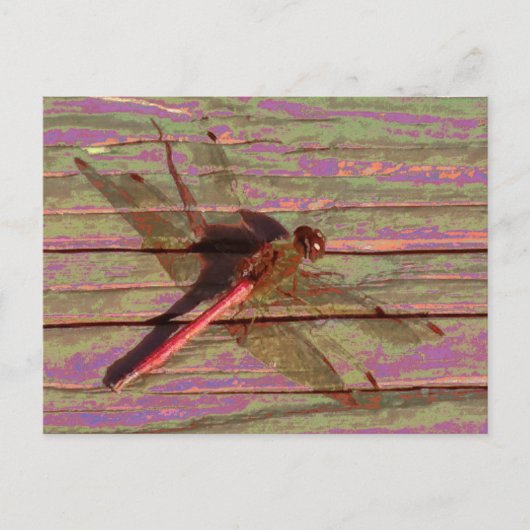 Dragonfly Colorful Briefkaart (Voorkant)