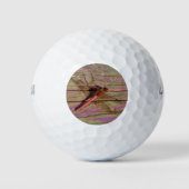 Dragonfly Colorful Golfballen (Voorkant)