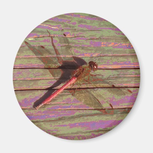 Dragonfly Colorful Magneet (Voorkant)