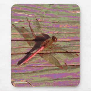 Dragonfly Colorful Muismat
