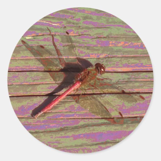 Dragonfly Colorful Ronde Sticker (Voorkant)