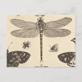 Dragonfly ( detail ) Art natuur Briefkaart