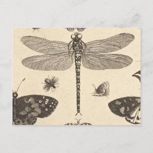 Dragonfly ( detail )  kunst briefkaart