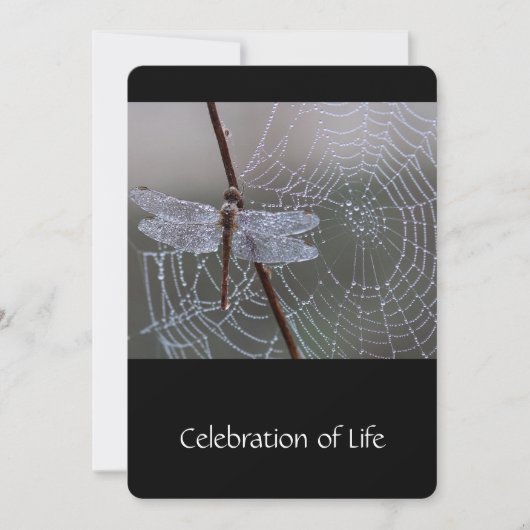 Dragonfly Dewdrops, Invitation du service commémor (Devant)
