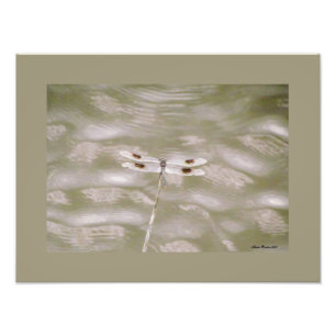 Dragonfly door Linda Becker Foto Afdruk