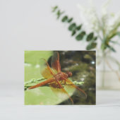 Dragonfly Dreams Briefkaart (Staand voorkant)