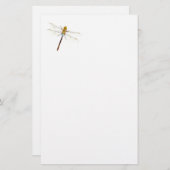 Dragonfly Dreams Briefpapier (Voorkant / Achterkant)