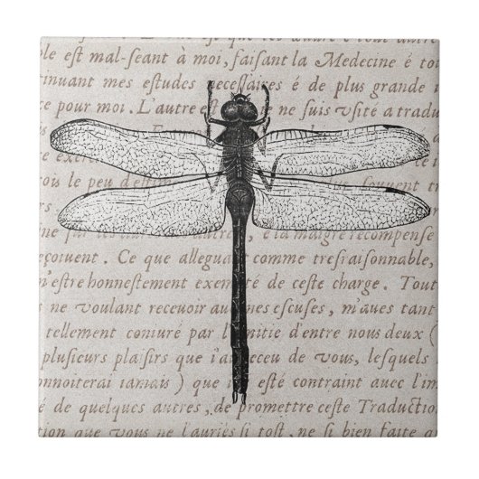  dragonfly en Antiek tekstcollage Tegeltje (Voorkant)