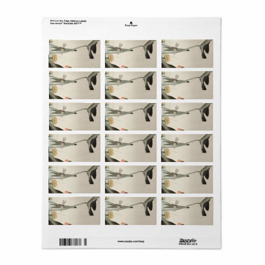 Dragonfly en Lotus, 1920, door Ohara Koson Etiket (Full Sheet)