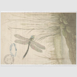 Dragonfly Ephemera Tissuepapier