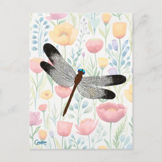 Dragonfly & Flowers - Carte postale (Devant)