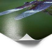 Dragonfly Foto Afdruk (Hoek)