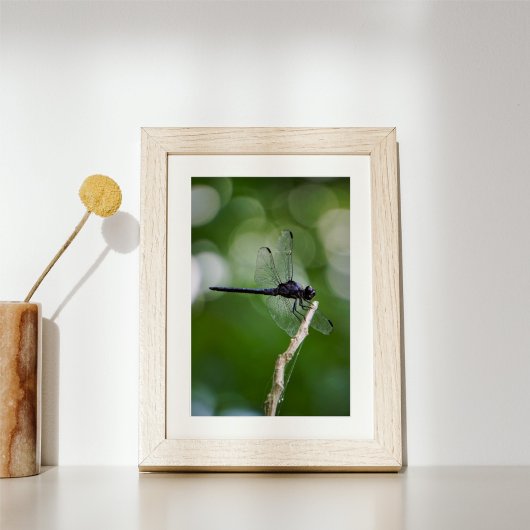 Dragonfly Foto Afdruk