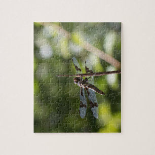Dragonfly Foto Puzzle Legpuzzel