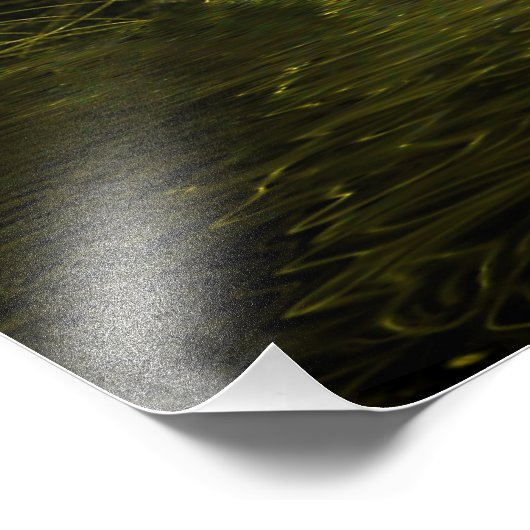 Dragonfly Fractal Magic Photo (Coin)