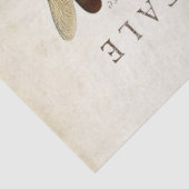 Dragonfly  Franse carte Postale ontkoppeling Tissuepapier (Detail)