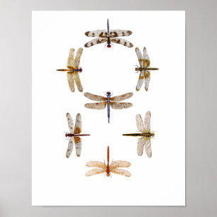 Dragonfly Graphic Art Poster