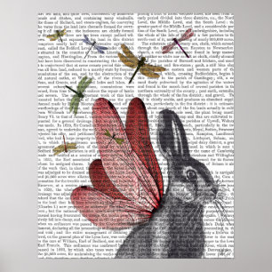 Dragonfly Hare Poster