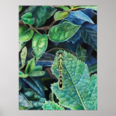 Dragonfly herinneringen poster (Voorkant)