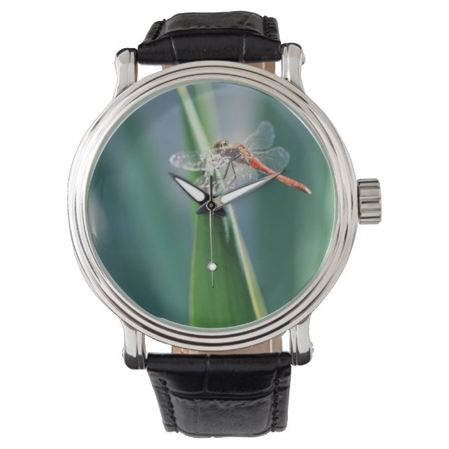 Dragonfly Horloge (Voorkant)