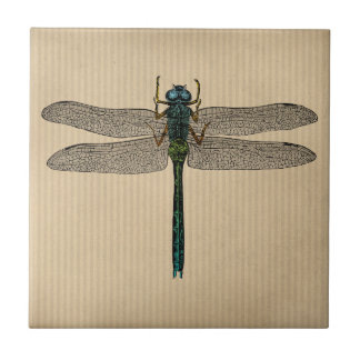  dragonfly-illustratie tegeltje