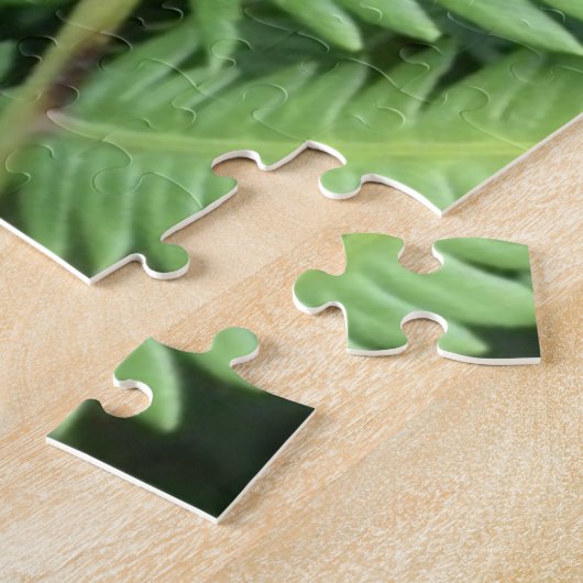 Dragonfly in Garden Difficult 1014 Piece Puzzle (Côté)