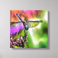 Dragonfly in groen en blauw realistische schilderi