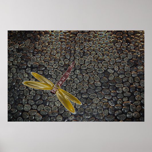 Dragonfly in Poster (Voorkant)